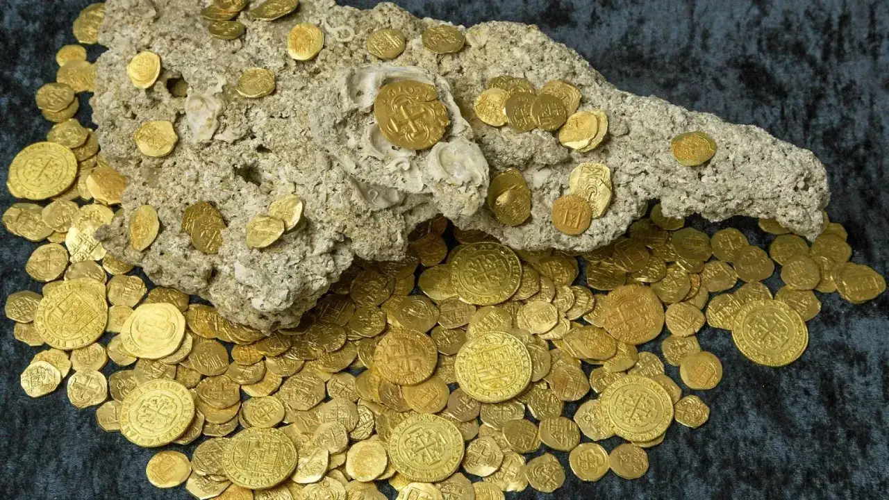 Skarby z dna morza: stos błyszczących, dawnych złotych monet hiszpańskich, niektóre wciąż przyczepione do fragmentu skały.